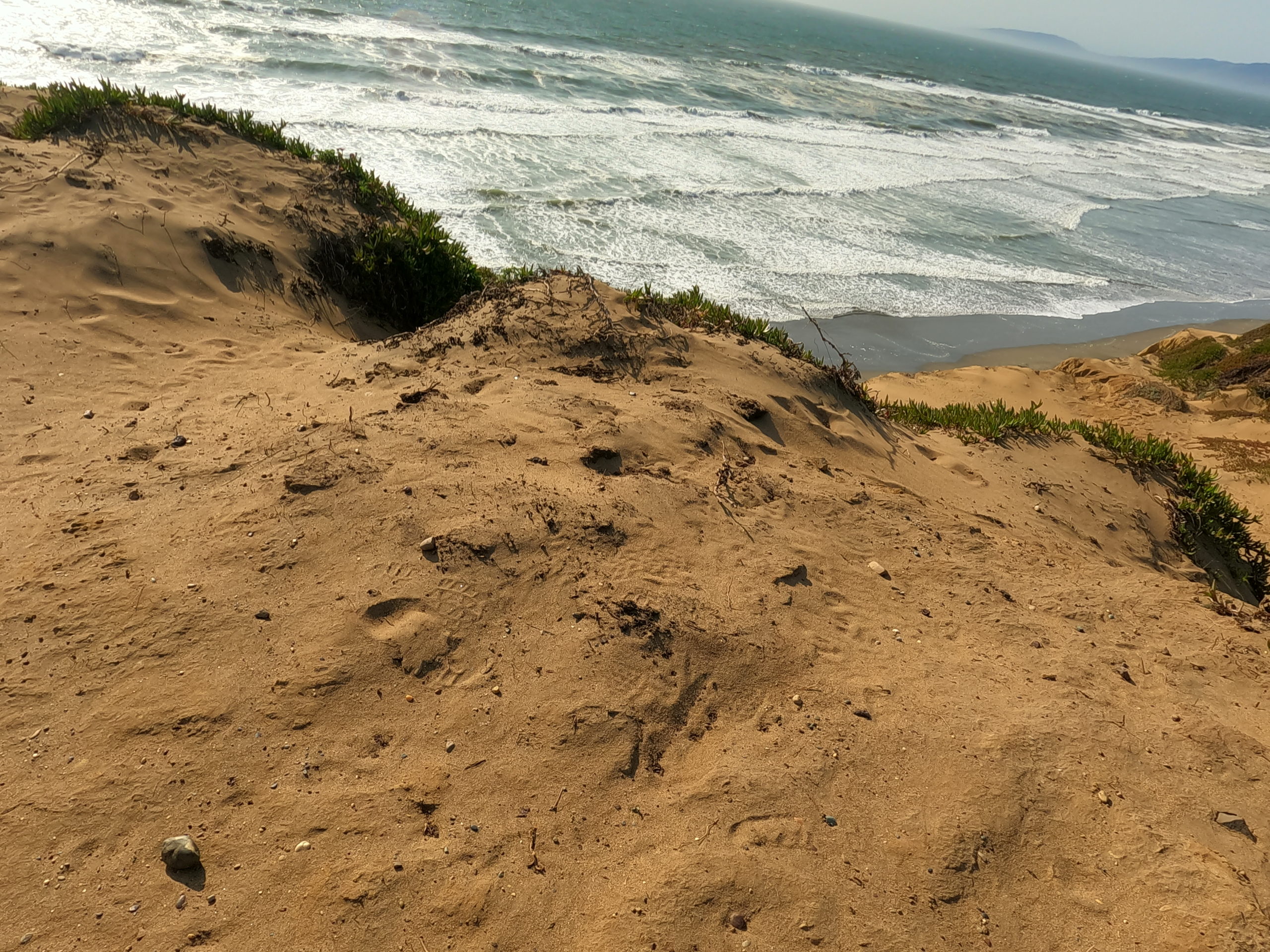 DCIM100GOPROGOPR0085.JPG