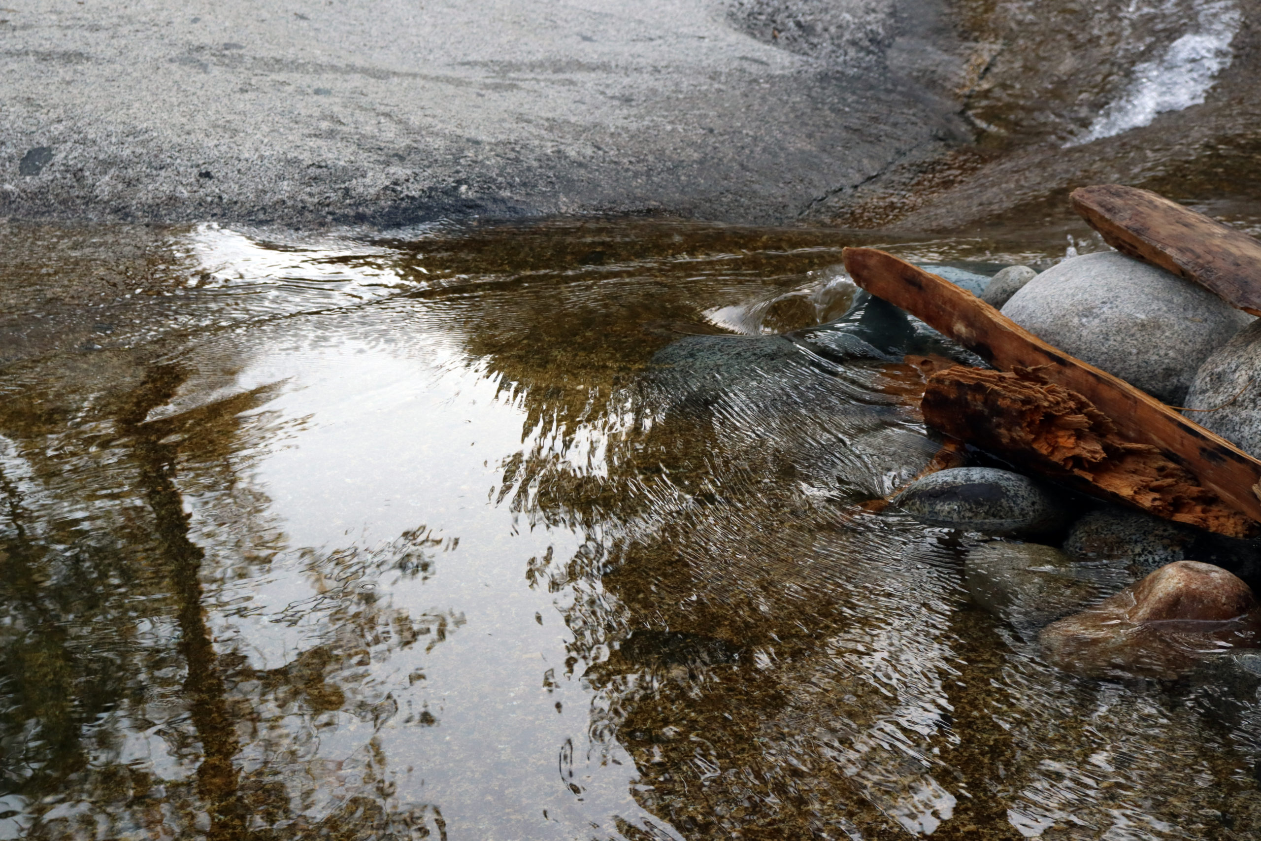Yosemite, near Wawona Wawona Watering Hole