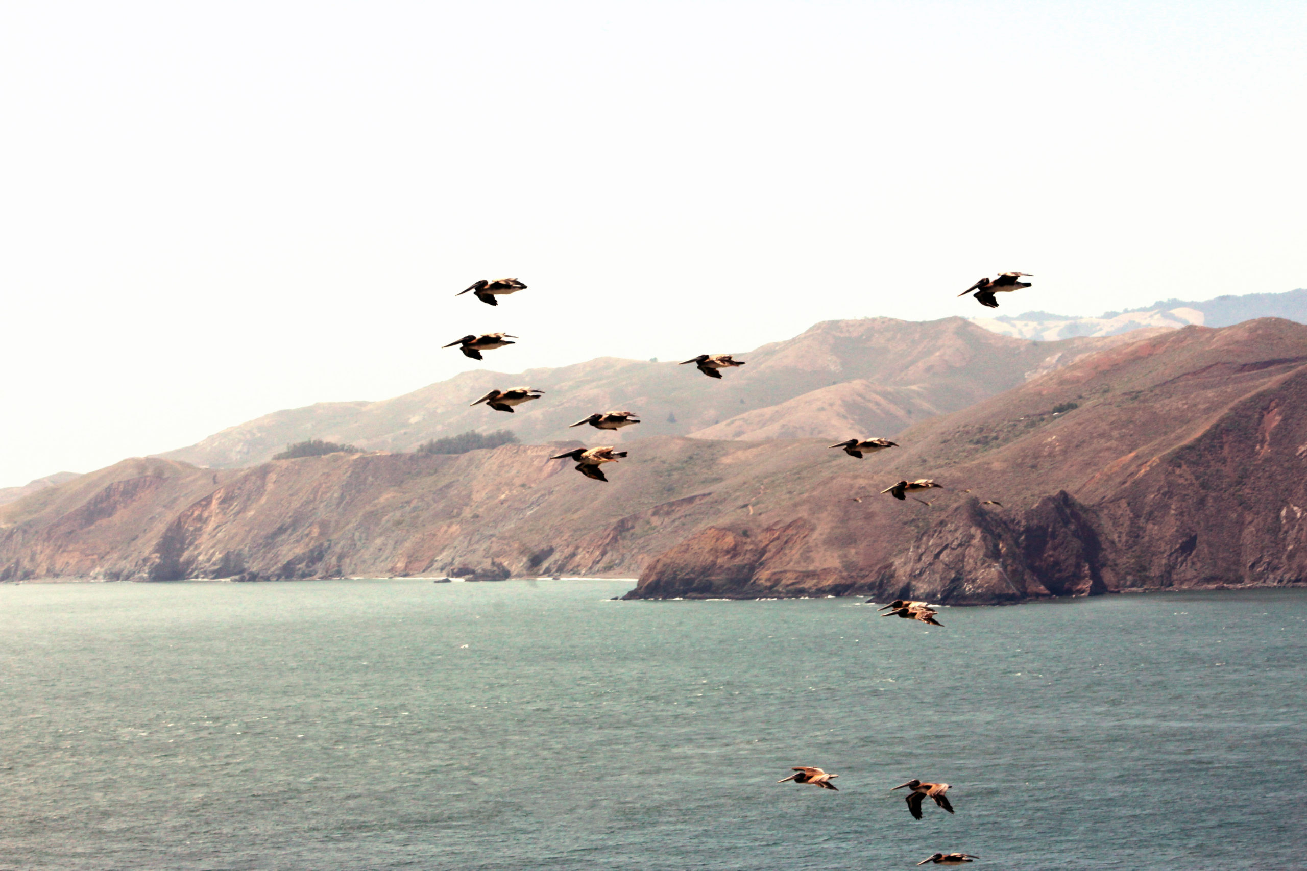 01_IMG_6859