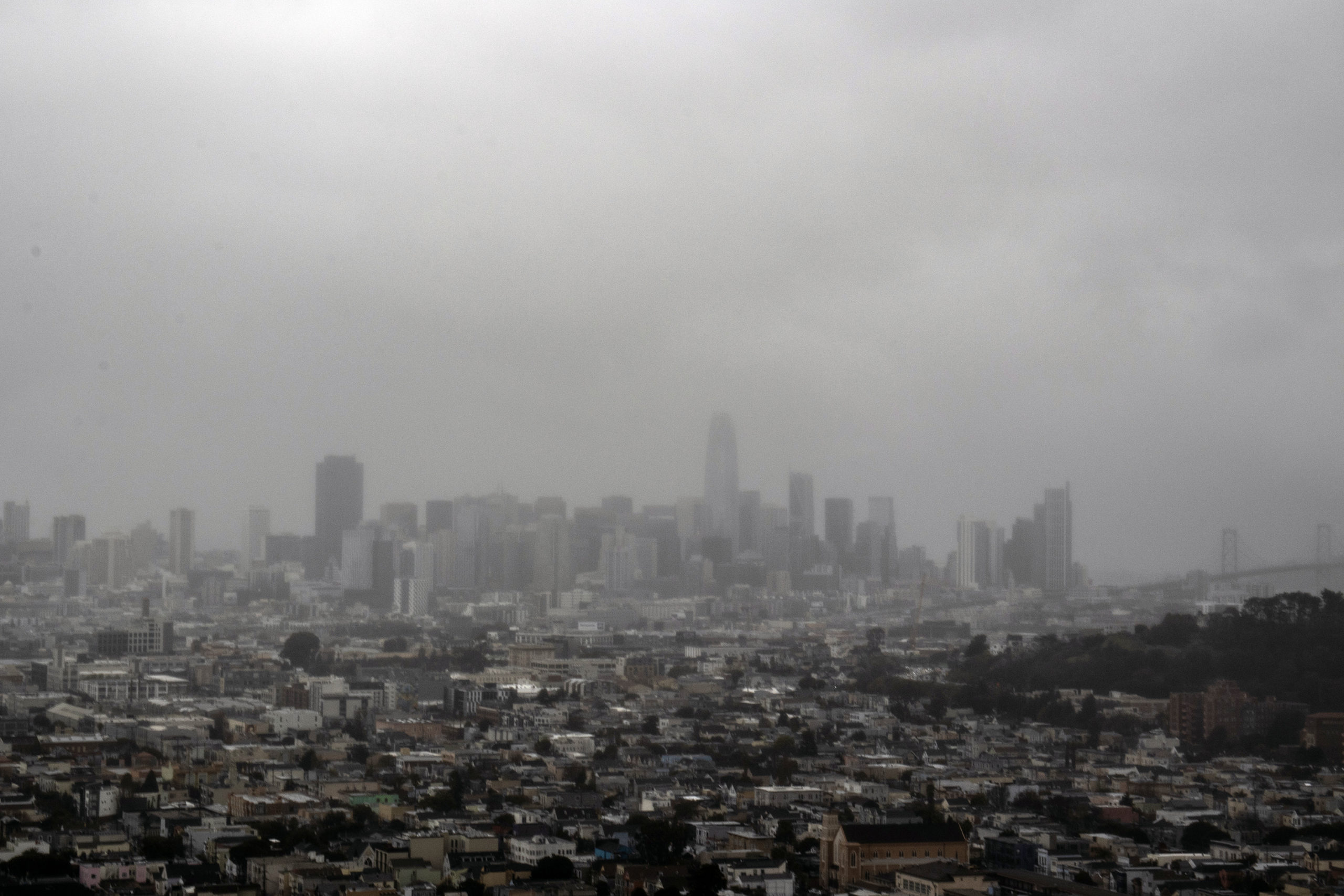 SF_IMG_7824_SM